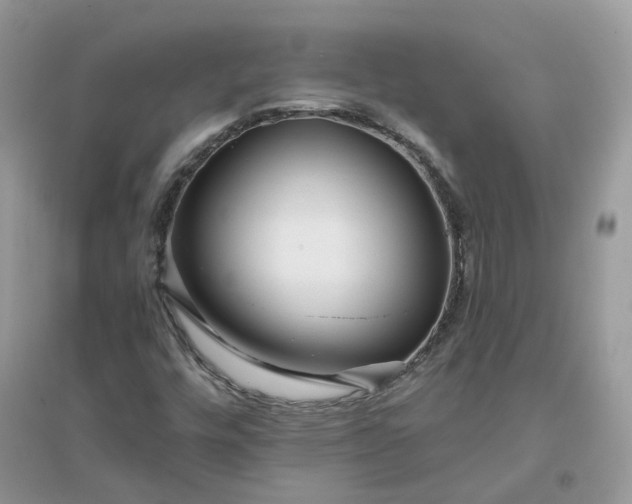 X0000096151448200802011222