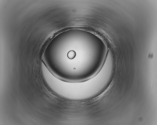 X0000096151449200802011222