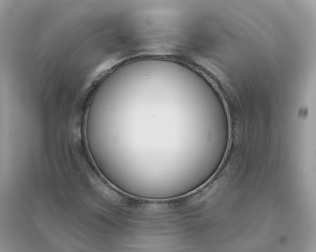 X0000096151451200802011222