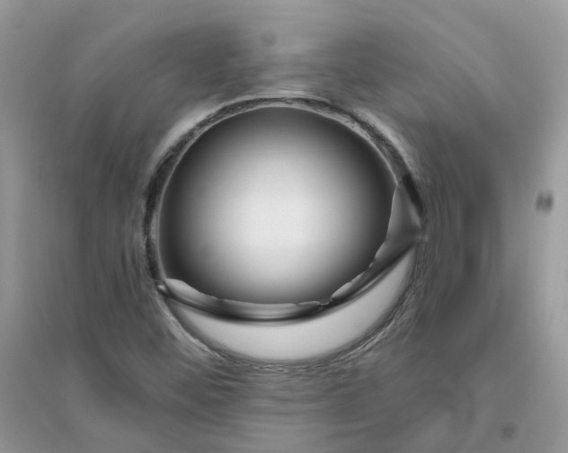 X0000096151452200802011222