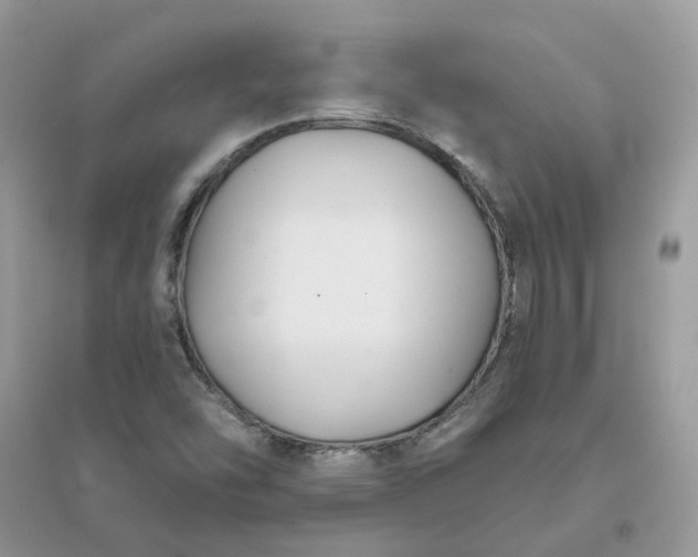 X0000096151454200802011222