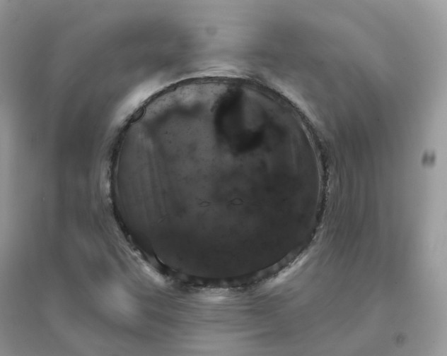 X0000096151455200802011222