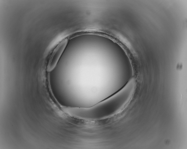 X0000096151456200802011222