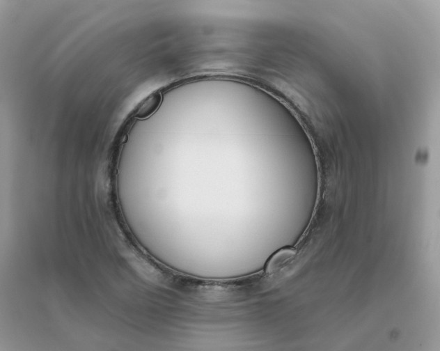 X0000096151458200802011222