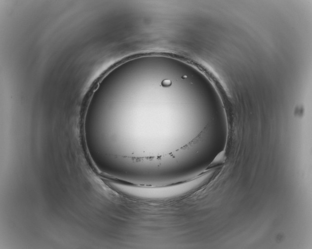 X0000096151460200802011222