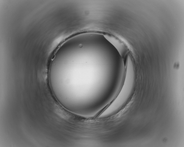 X0000096151461200802011222