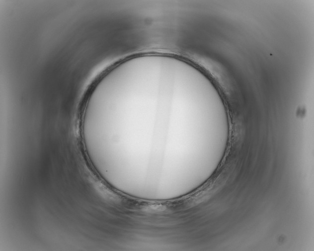 X0000096151462200802011222