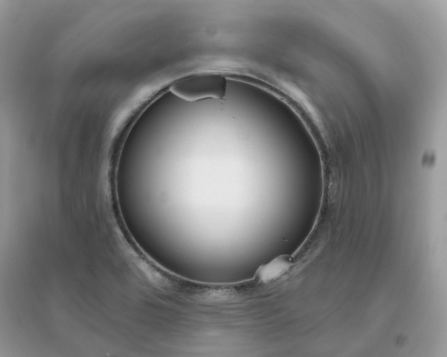 X0000096151464200802011222