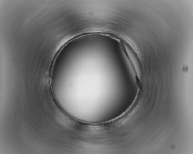 X0000096151465200802011222