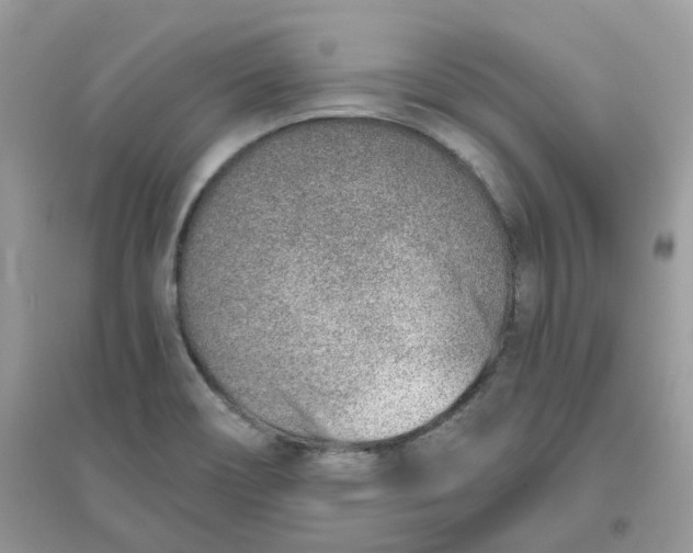 X0000096151466200802011222