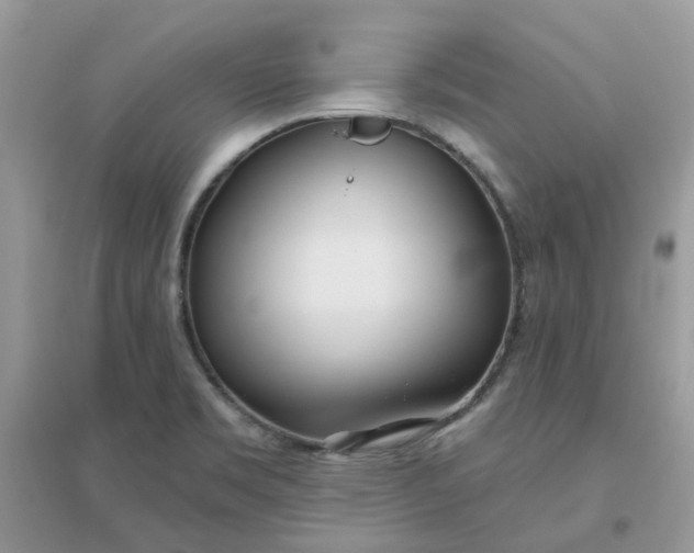 X0000096151469200802011222