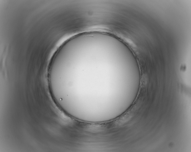 X0000096151470200802011222