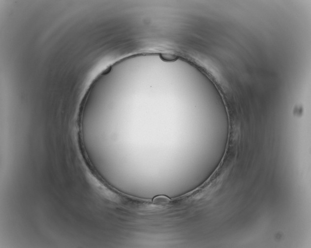 X0000096151471200802011222