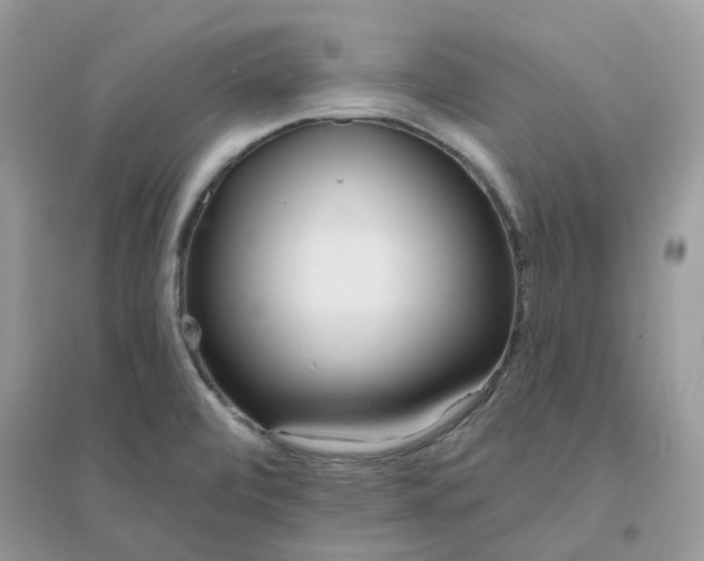 X0000096151472200802011222