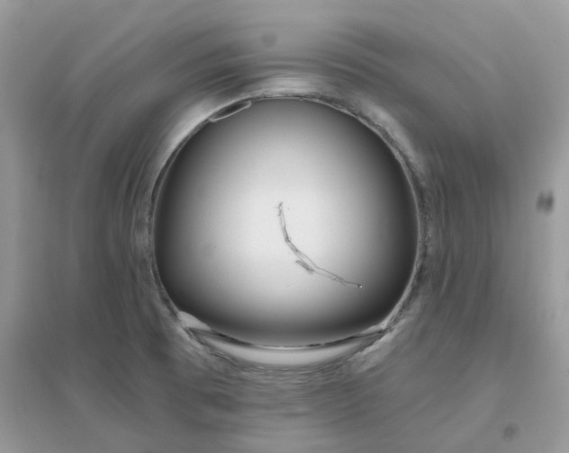 X0000096151473200802011222