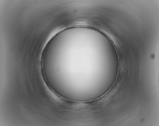 X0000096151475200802011222