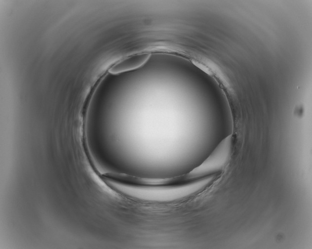 X0000096151476200802011222