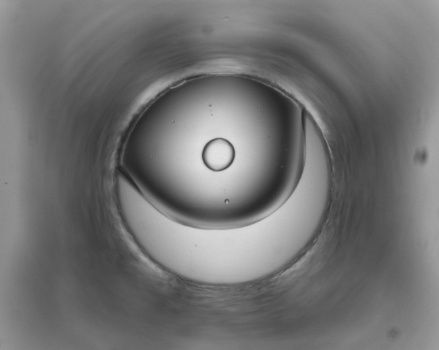 X0000096151477200802011222