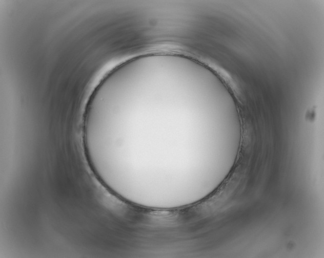 X0000096151478200802011222