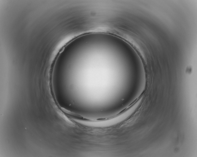 X0000096151480200802011222
