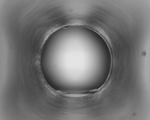 X0000096151481200802011222
