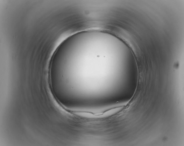 X0000096151483200802011222