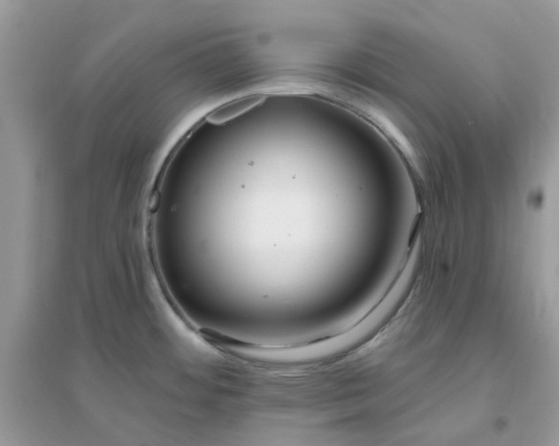 X0000096151484200802011222