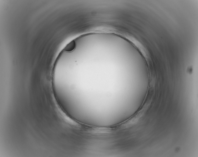 X0000096151486200802011222