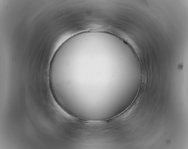 X0000096151487200802011222