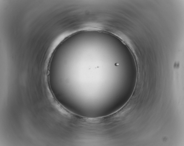 X0000096151488200802011222
