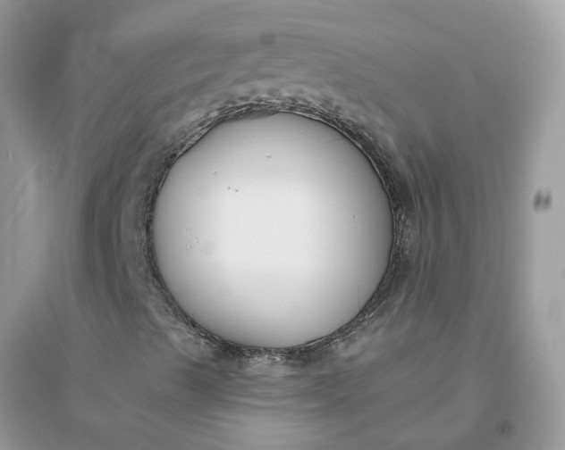 X0000096151489200802011221