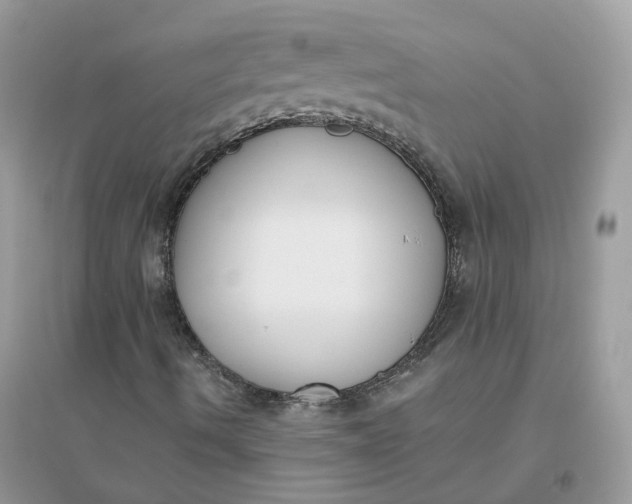 X0000096151490200802011221