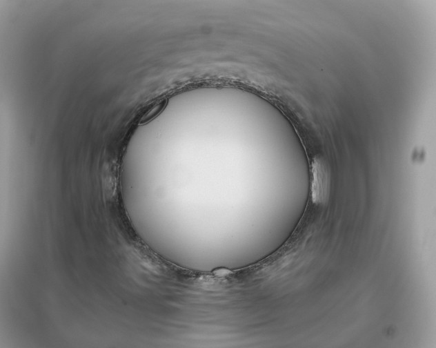 X0000096151491200802011221
