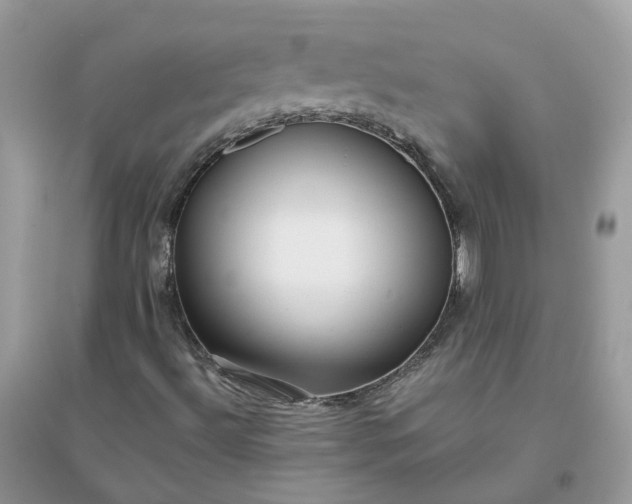 X0000096151492200802011221