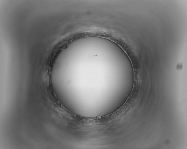 X0000096151493200802011221