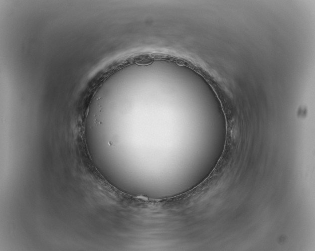 X0000096151495200802011221
