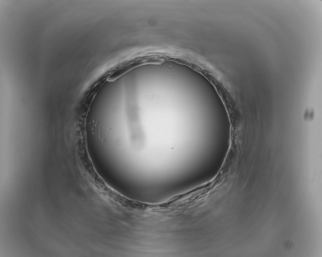 X0000096151496200802011221