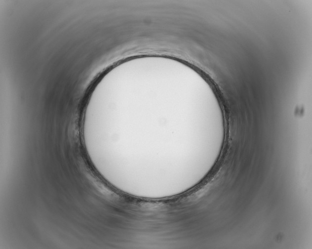 X0000096151498200802011221