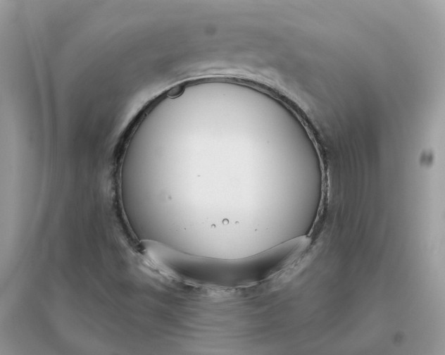 X0000096151501200802011221