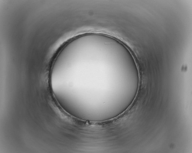 X0000096151503200802011221