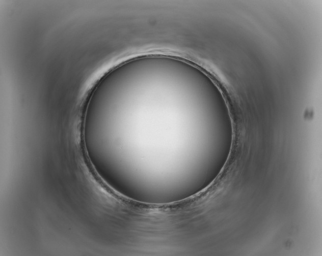 X0000096151504200802011221