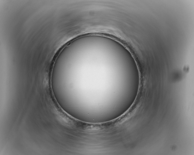 X0000096151505200802011221