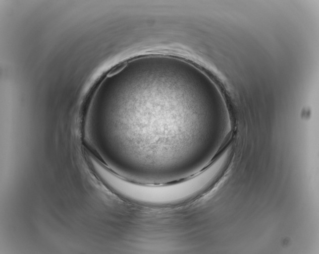 X0000096151506200802011221