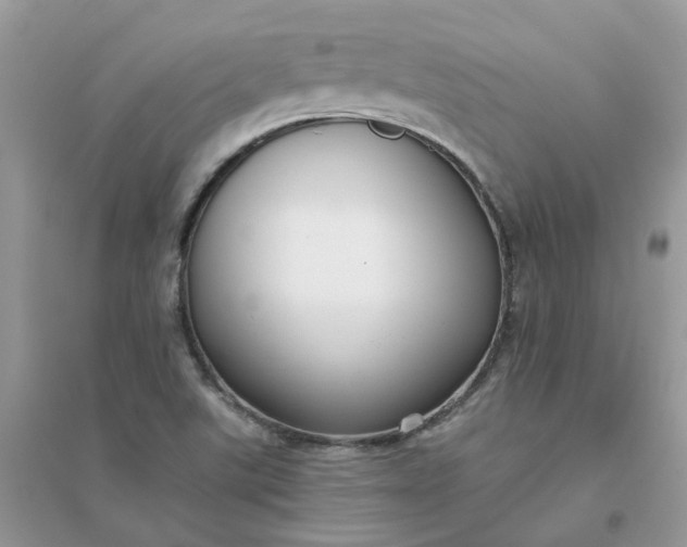 X0000096151507200802011221