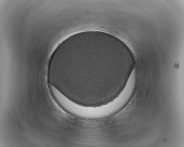X0000096151508200802011221