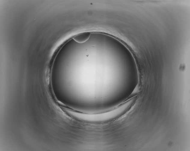 X0000096151510200802011221