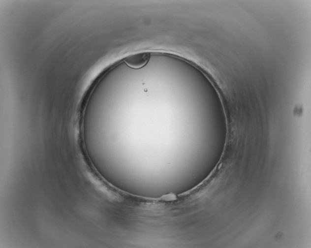 X0000096151511200802011221