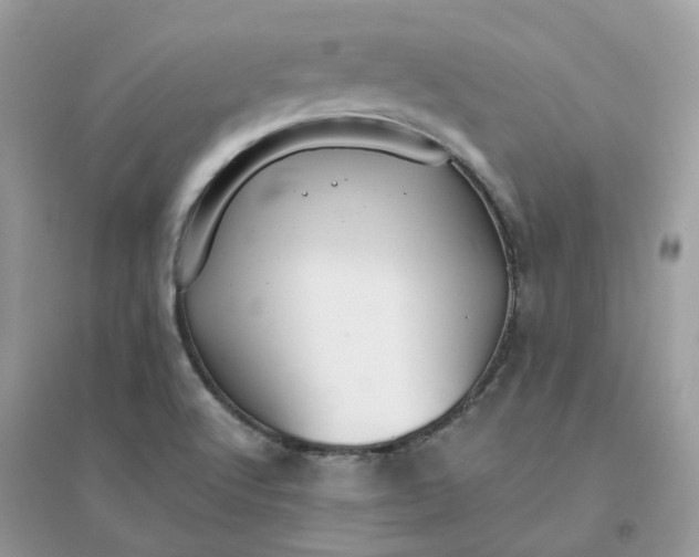 X0000096151512200802011221