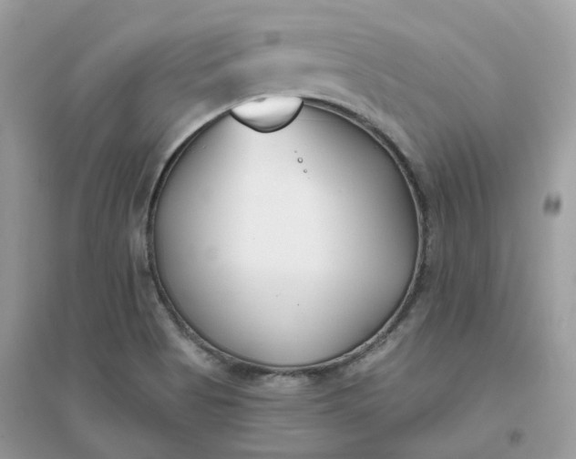 X0000096151513200802011221
