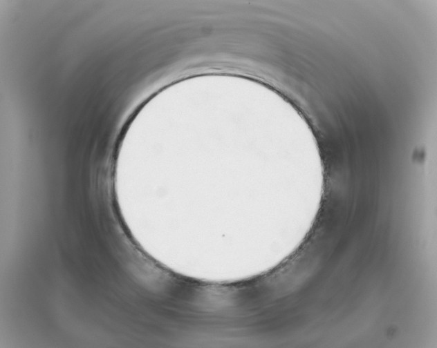X0000096151514200802011221